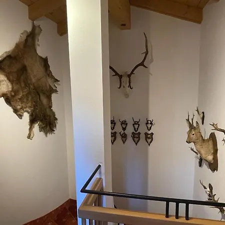 Brandner Astn Krimml